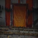 Vraj-Yatra-2014- (1864)